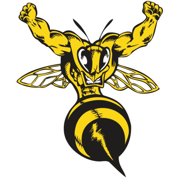 BAW BEE 04 RC Thumbnail