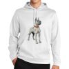 Sport Wick ® Fleece Hooded Pullover Thumbnail